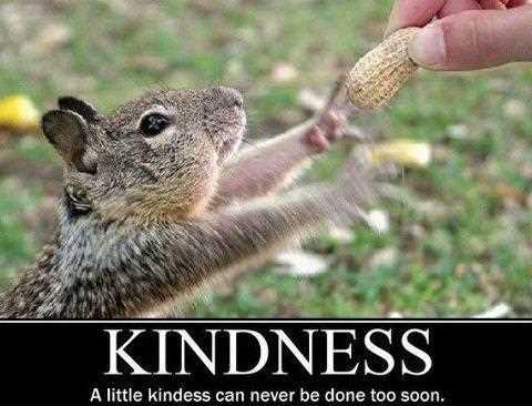 Kindness A Little Kindness Can Never Be Done Too Soon