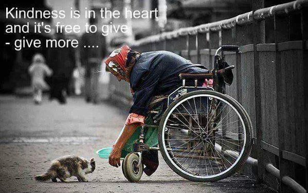Kindness is in the heart and it's free to give - give more