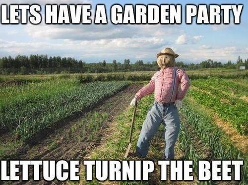 Lets Have A Garden Party Lettuce Turnip The Beet Funny Smile Meme Image