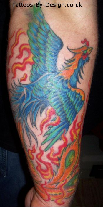 Latest Colorful Phoenix Tattoo On Forearm