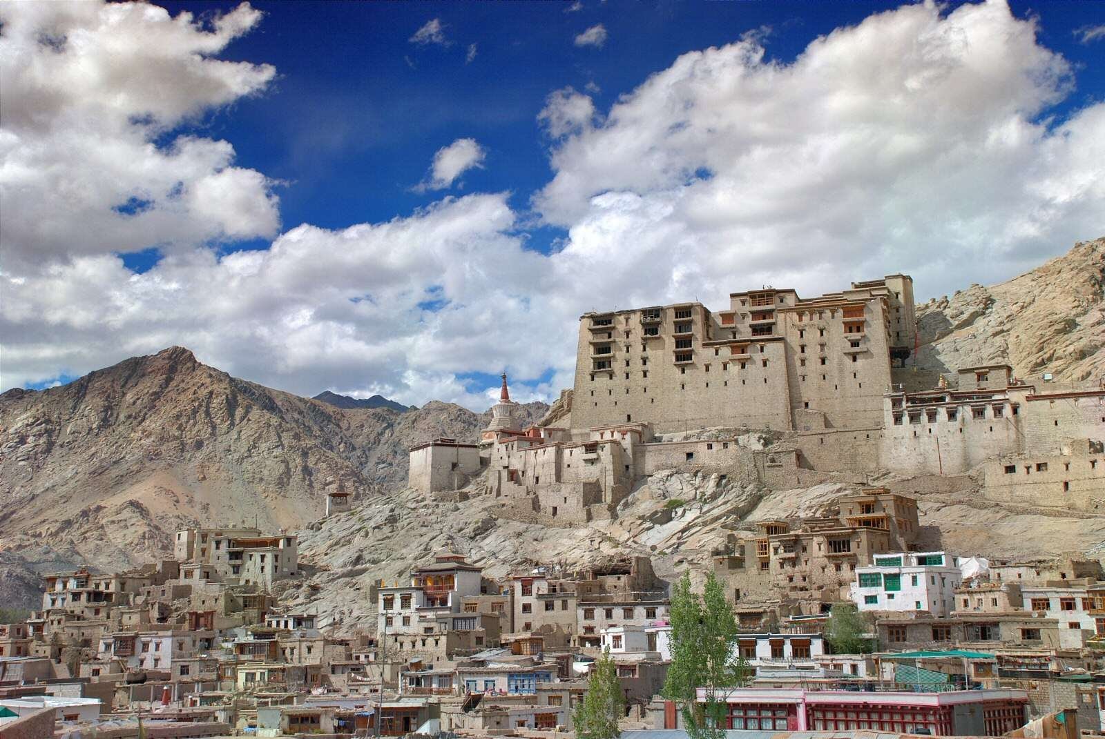 Leh Palace View Image Picture