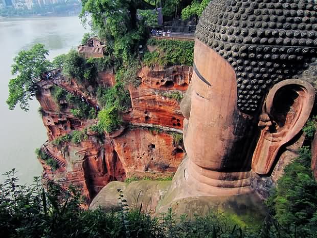 Leshan Giant Buddha Face Closeup Side View
