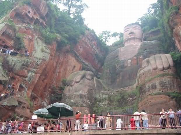 Leshan Giant Buddha Picture From Below