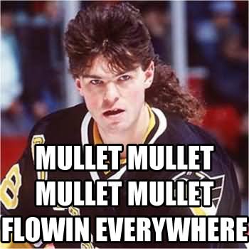 Mullet Flowin Everywhere Funny Meme Picture
