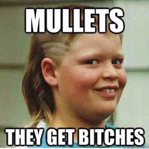 Mullets They Get Bitches Funny Picture