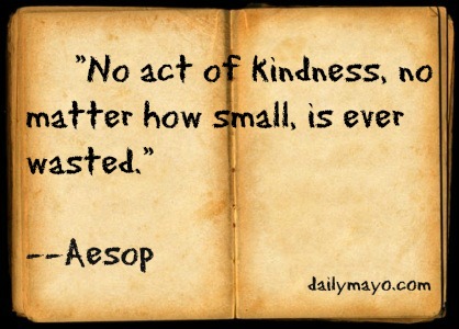 No Act Of Kindness No Matter How Small Is Ever Wasted.