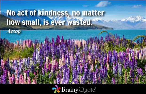 No act of kindness, no matter how small, is ever wasted. - Aesop
