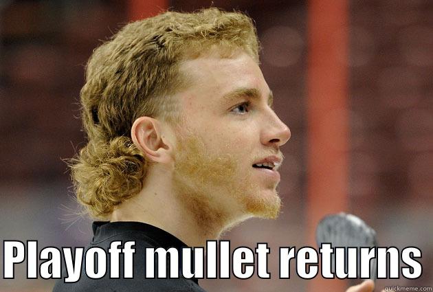 Playoff Mullet Returns Funny Meme Picture