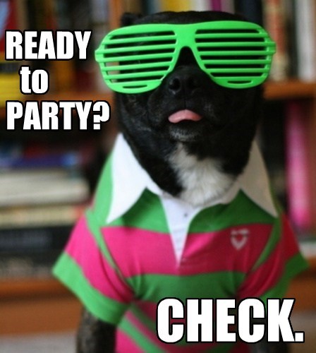 Ready To Party Check Funny Party Meme Image