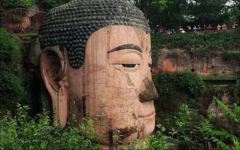 Side View Of The Face Of Leshan Giant Buddha Statue