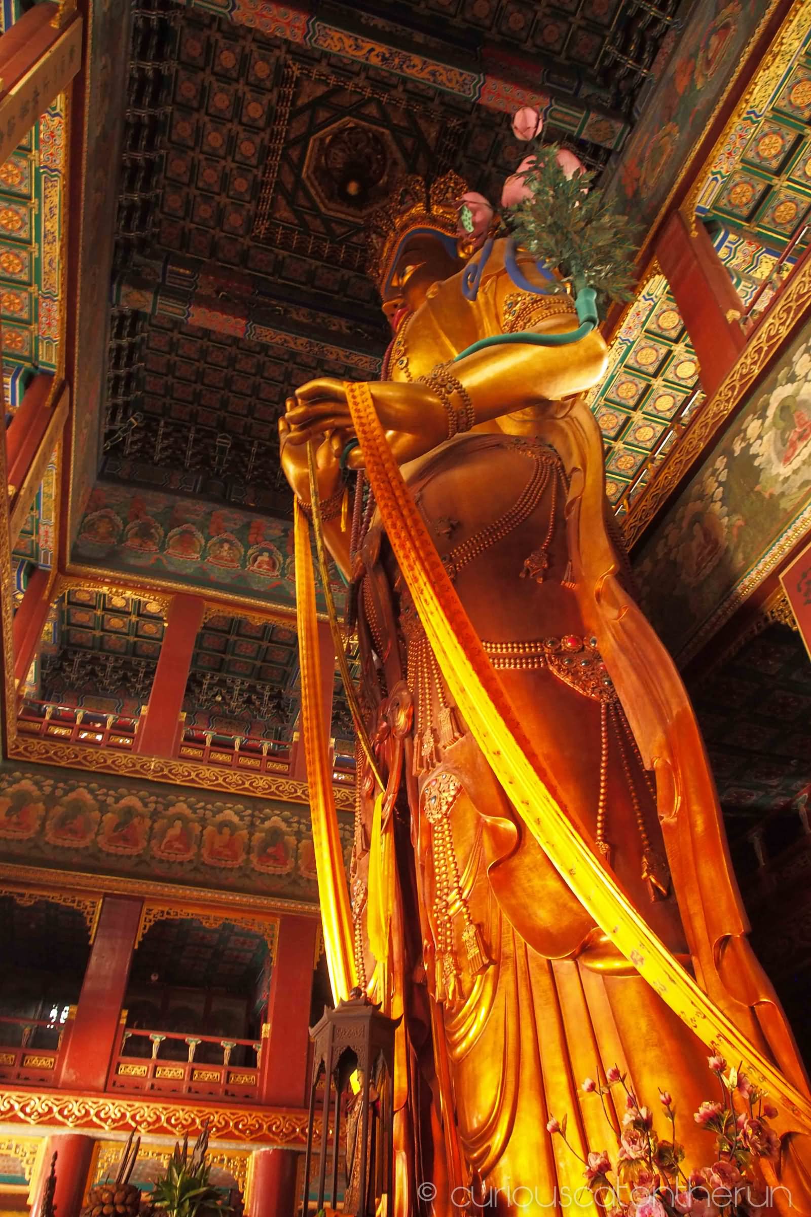 Statue of the Maitreya Buddha At The Yonghe Temple
