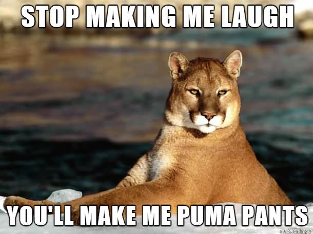 Stop Making Me Laugh You Will Make Me Puma Pants Funny Meme Image