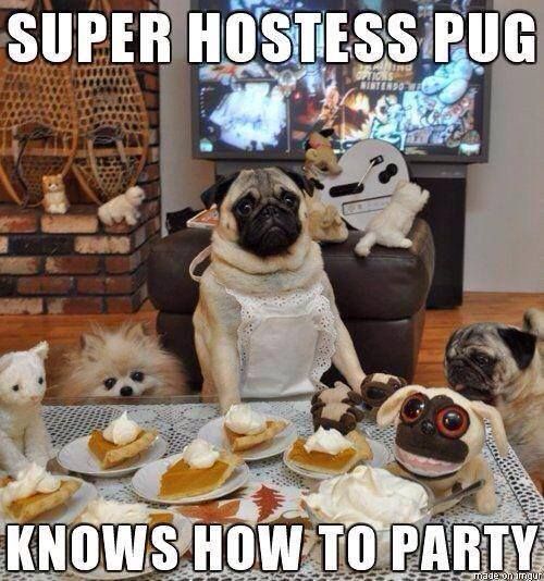 Super Hostess Pug Knows How To Party Funny Meme Image