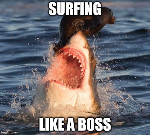 Surfing Like A Boss Funny Surfing Meme Image