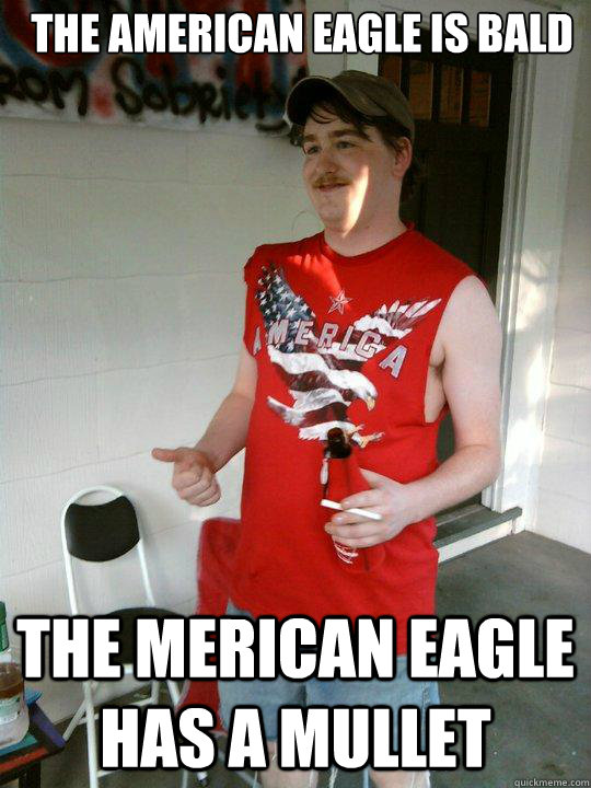 The American Eagle Is Bald Funny Mullet Meme Picture