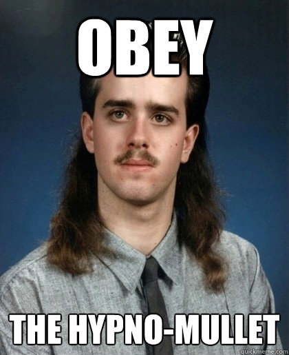 The Hypon-Mullet Funny Meme Photo