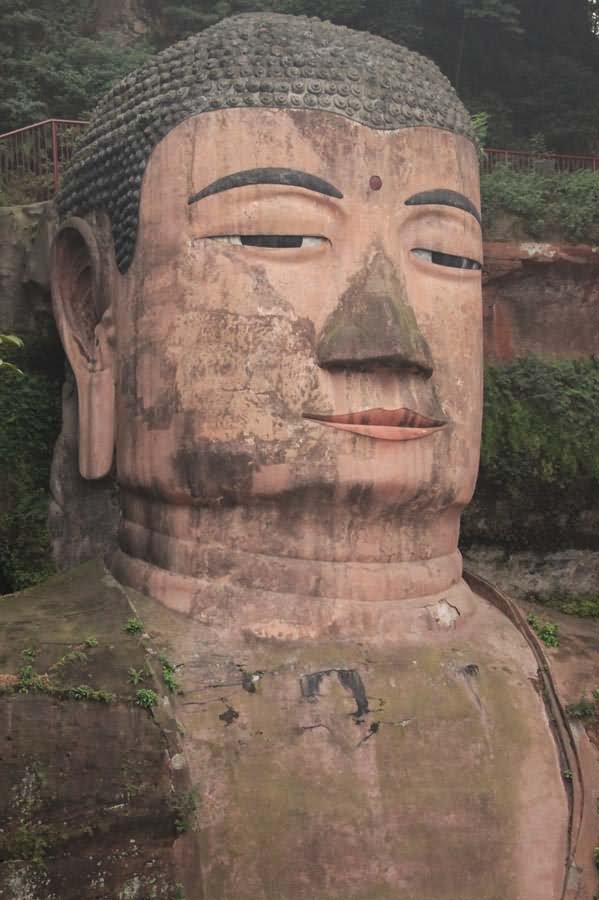 The Leshan Giant Buddha Closeup Picture