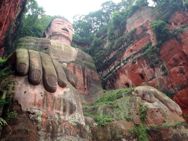 The Leshan Giant Buddha View From Below