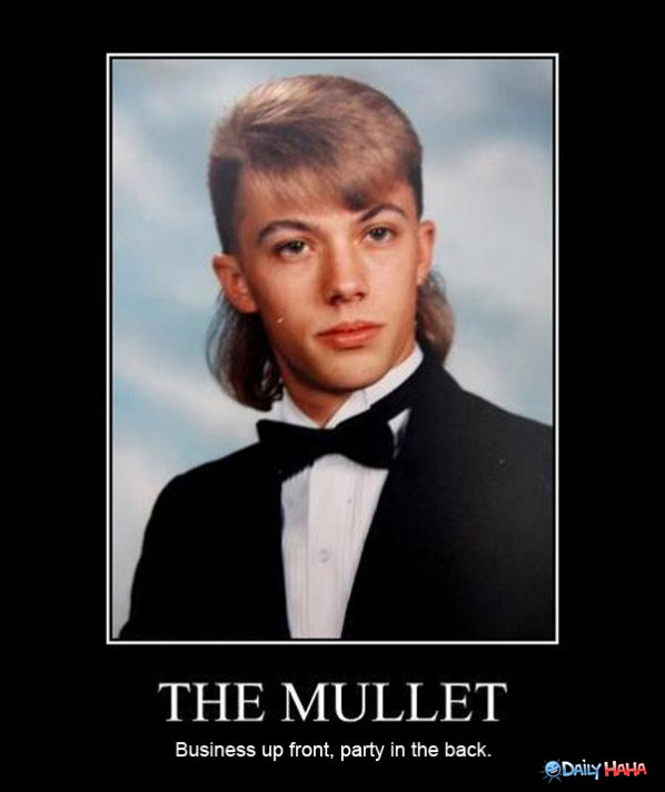 The Mullet Business Up Front Party In The Back Funny Meme Poster