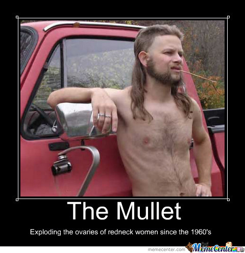 The Mullet Exploding The Ovaries Of Redneck Woman Since The 1990's Funny Mullet Meme Image