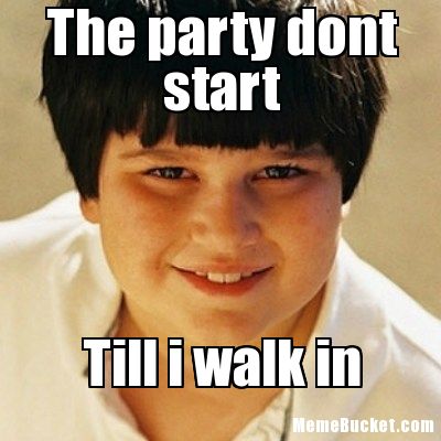 The Party Dont Start Till I Walk In Funny Meme Image