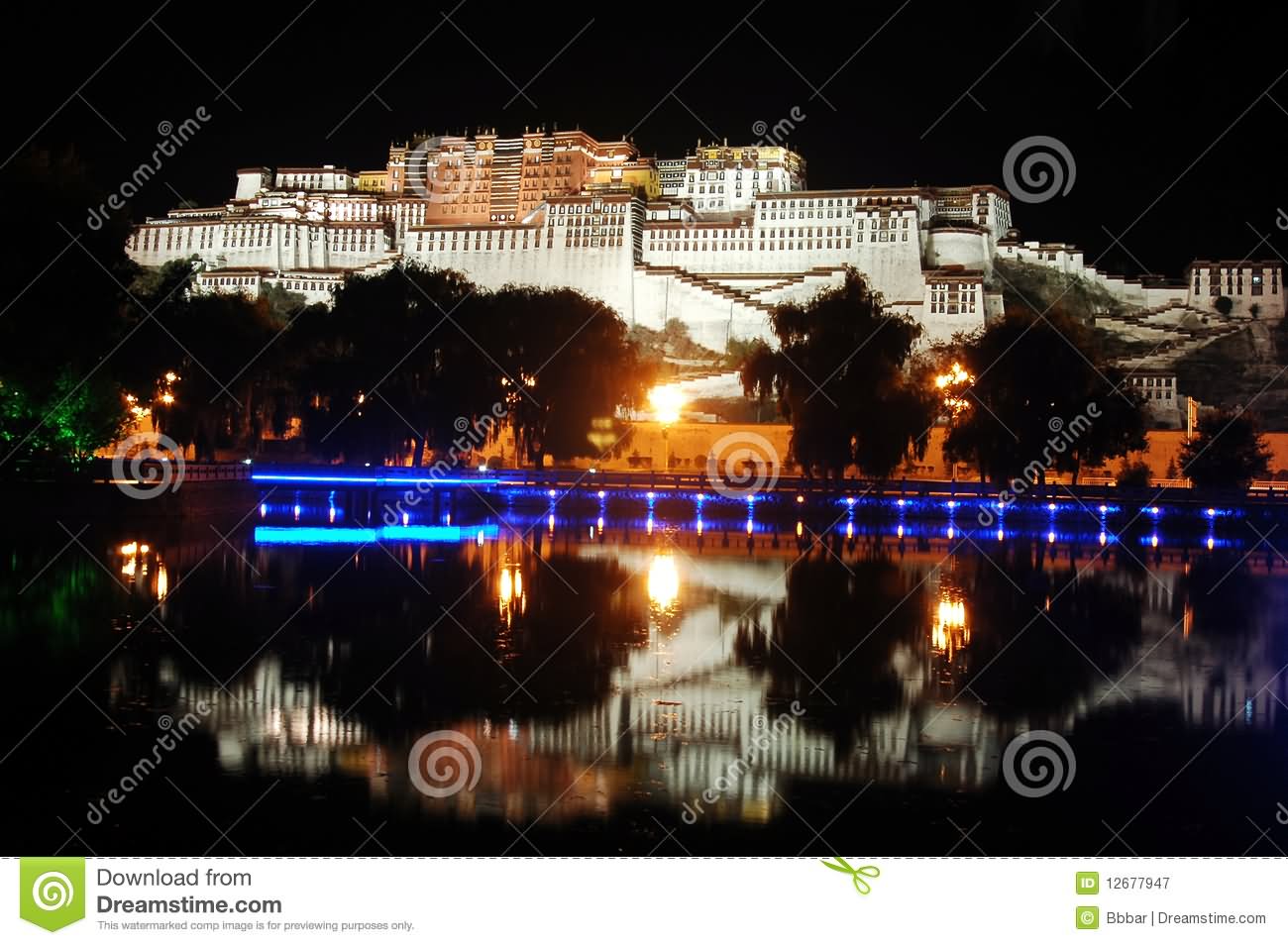 The Potala Palace Night Image