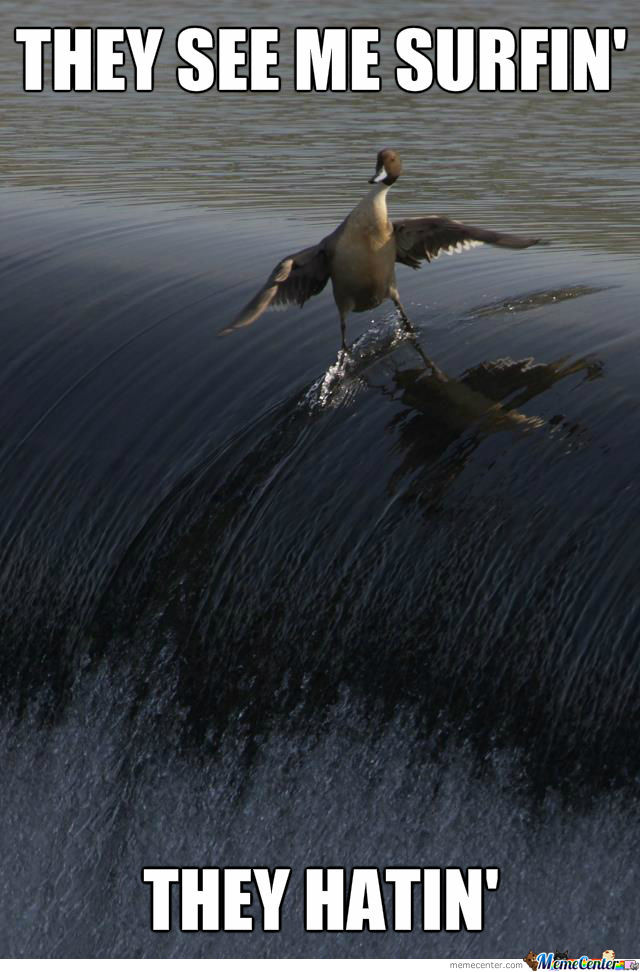 They See Me Surfin They Hatin Funny Surfing Meme Picture