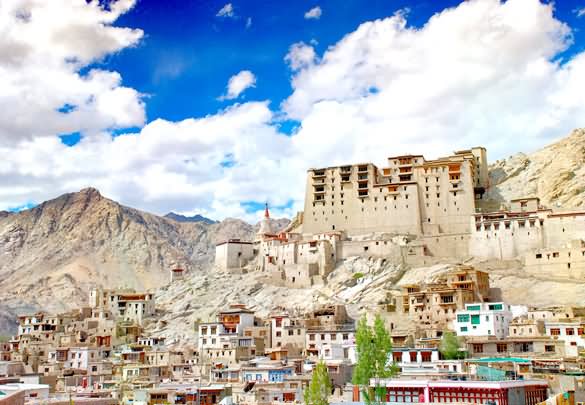 View Of Leh Palace And Town Picture