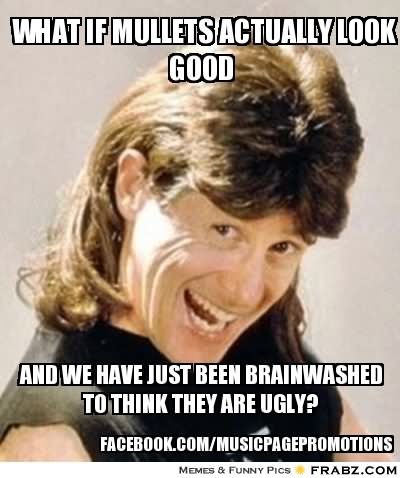 What If Mullets Actually Look Good Funny Meme Image