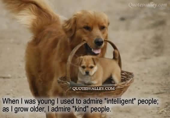 When I was young, I used to admire intelligent people; as I grow older, I admire kind people.