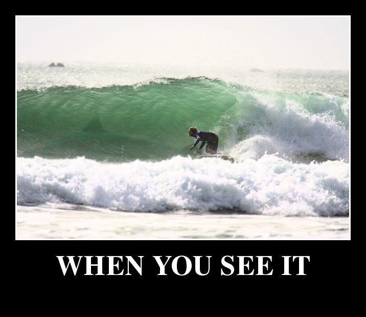 When You See It Very Funny Surfing Meme Picture For Facebook