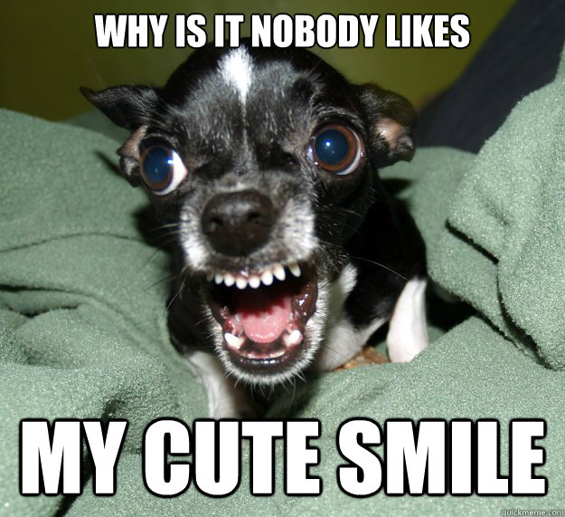 Why Is It Nobody Likes My Cute Smile Funny Smile Meme Image