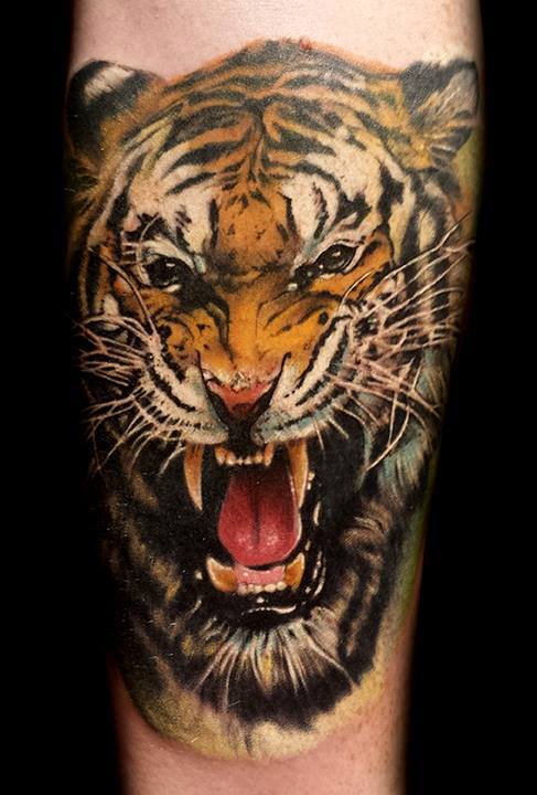 Amazing Angry Tiger Head Tattoo On Forearm by Clayton Howell