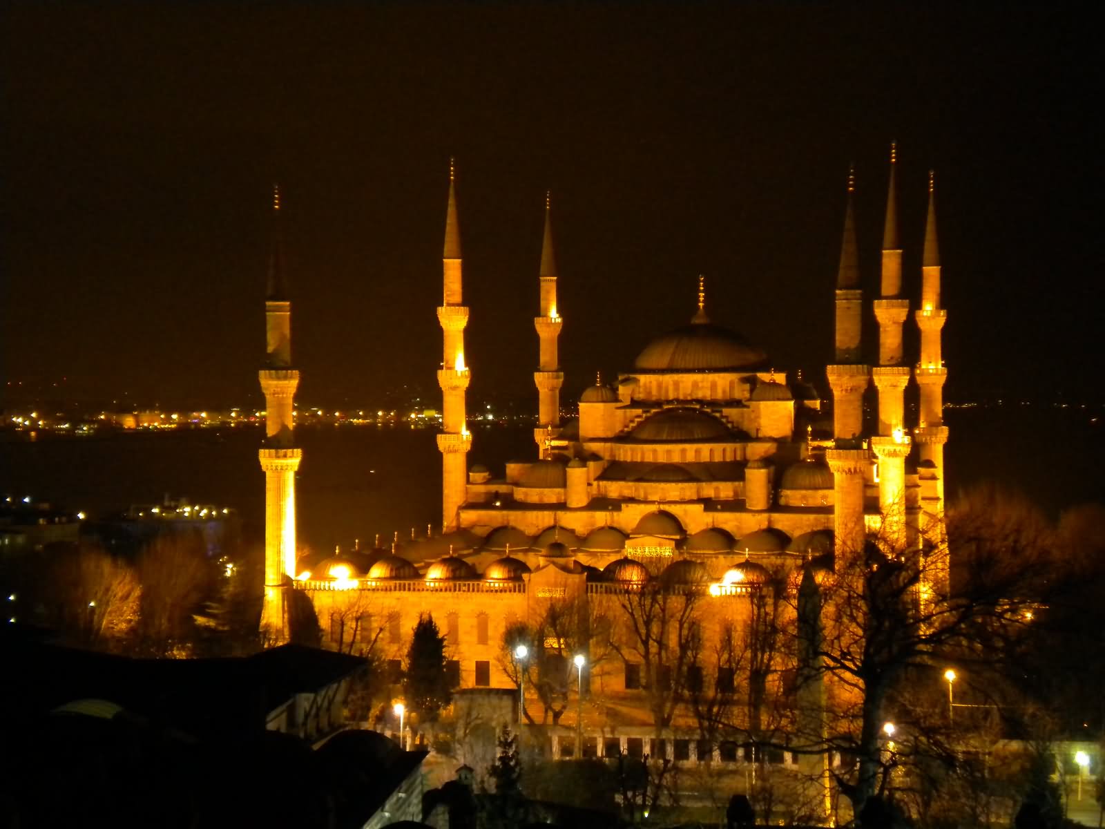 Amazing Blue Mosque Night View