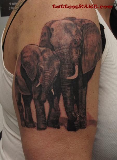 Amazing Elephant Family Tattoo On Right Half Sleeve