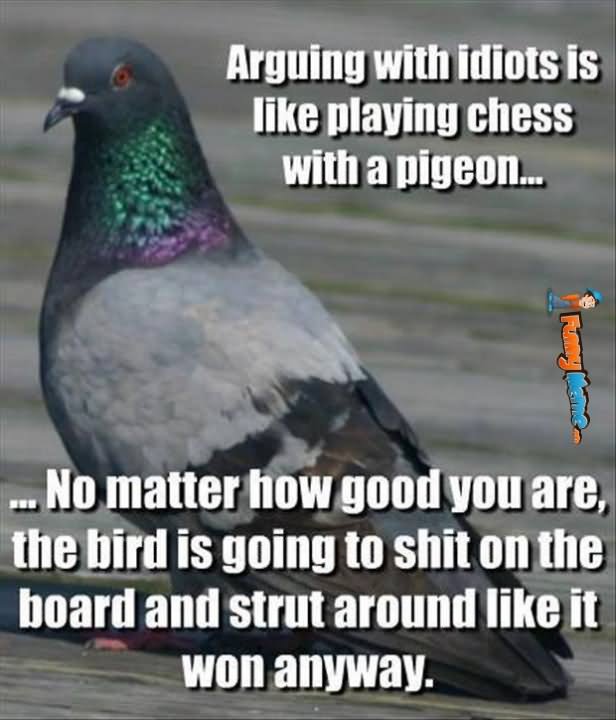 Arguing With Idiots Is Like Playing Chess With A Pigeon Funny Chess Meme Image