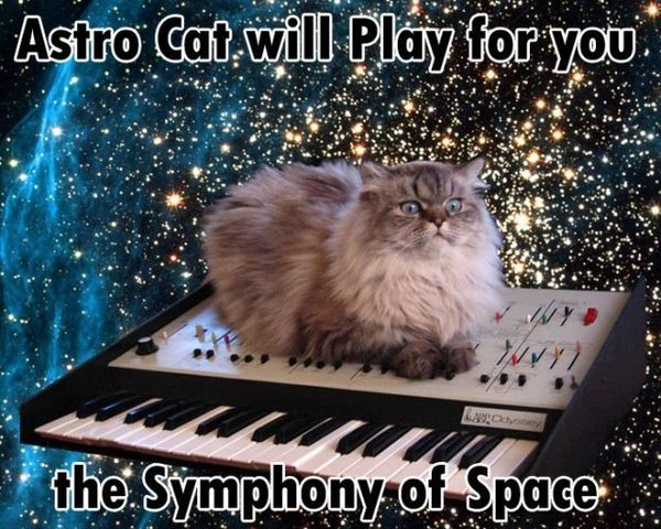 Astro Cat Will Play For You Funny Space Meme Image
