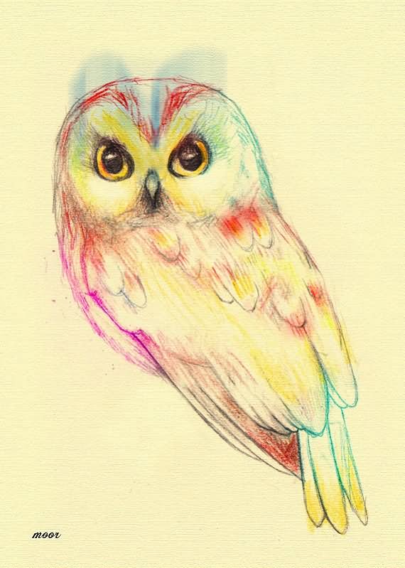 Attractive Watercolor Owl Tattoo Design