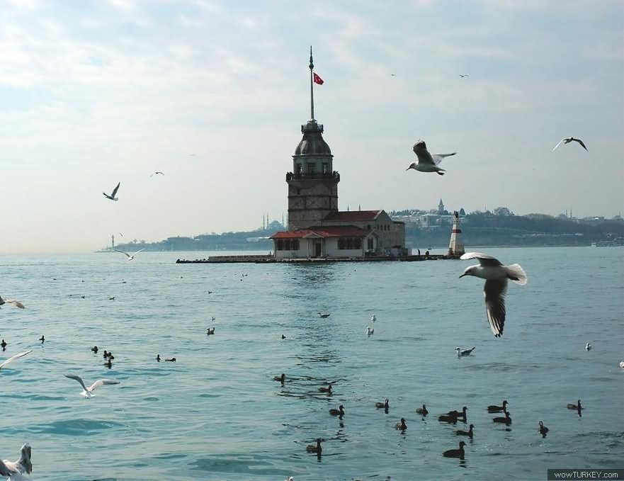 Beautiful View Of The Maiden's Tower In Istanbul