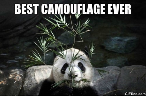 Best Camouflage Ever Funny Meme Image