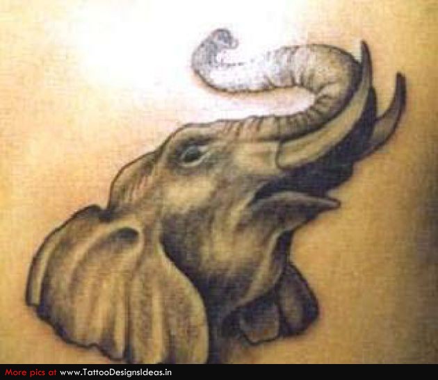 Black And Grey Elephant Trunk Up Tattoo Design For Waist