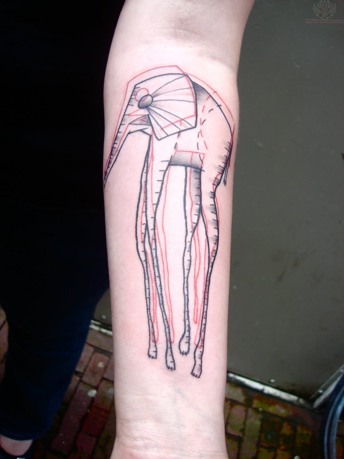 Black And Red Outline Dali Elephant Tattoo On Forearm