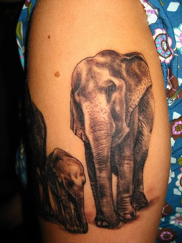 Black Ink Indian Elephant Family Tattoo Design For Half Sleeve