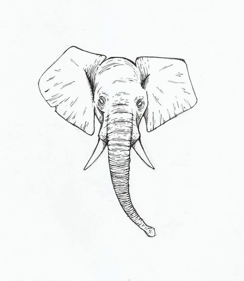 43+ Cute Outline Elephant Tattoos