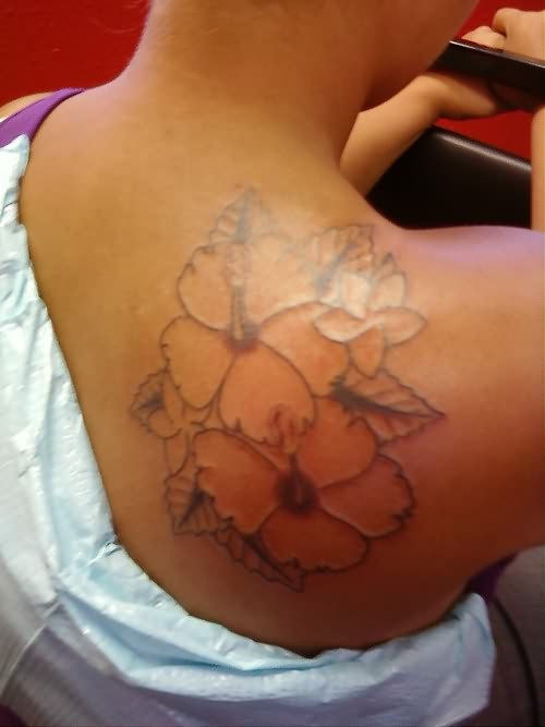 Black Outline Hibiscus Flowers Tattoo On Right Back Shoulder