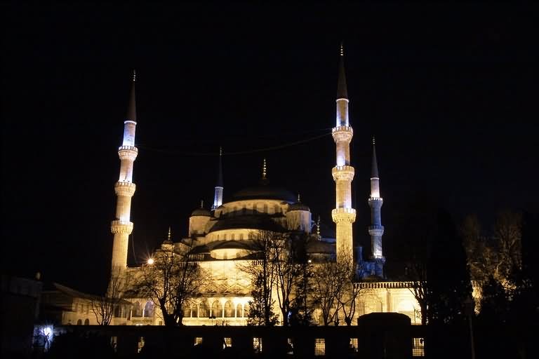 Blue Mosque At Night Picture
