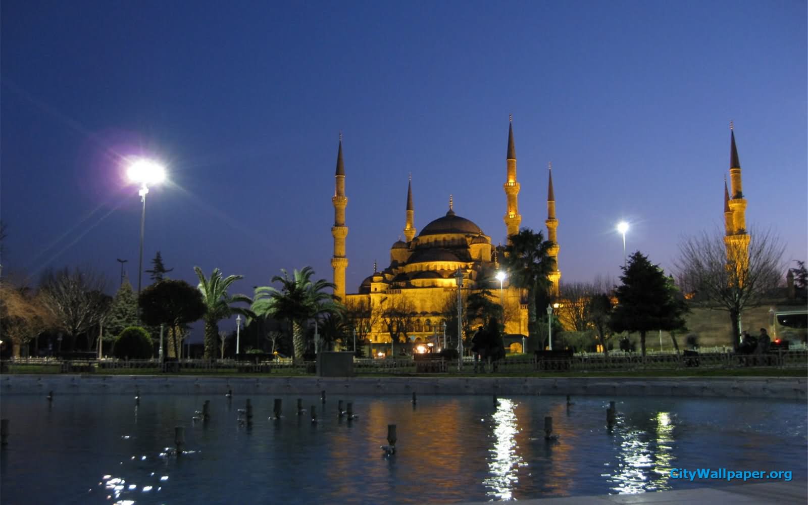 Blue Mosque In Istanbul By Night