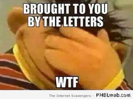 Brought To You By The Letters Wtf Funny Wtf Meme Picture