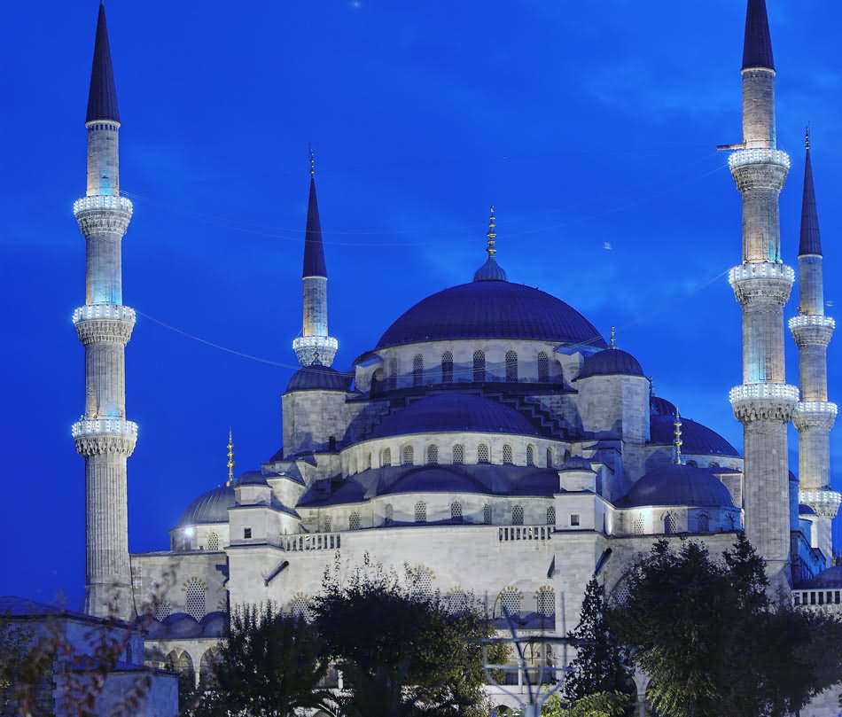 Closeup Of The Blue Mosque At Night