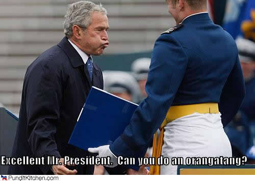 Excellent Mr. President. Can You Do An Orangatang Funny George Bush Meme Picture